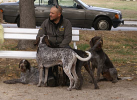Tommy med hundarna 2008